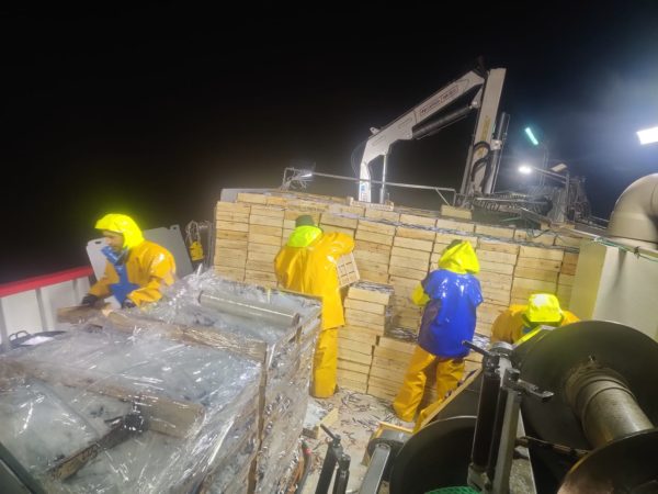 GIA-65/2 - Grúa Inoxidable / Alcance Hidráulico 7,60 m. - Imagen 9