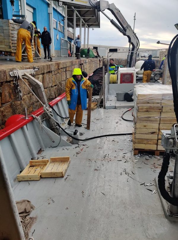 GIA-65/2 - Grúa Inoxidable / Alcance Hidráulico 7,60 m. - Imagen 10