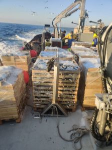 GIA-65/2 - Grúa Inoxidable / Alcance Hidráulico 7,60 m. - Imagen 13