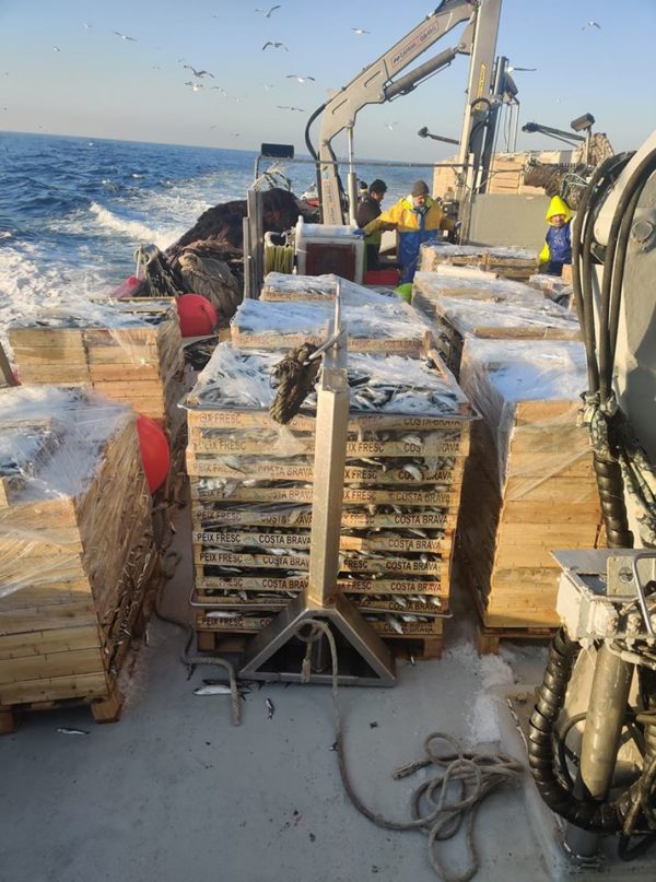 GIA-65/2 - Grúa Inoxidable / Alcance Hidráulico 7,60 m. - Imagen 13