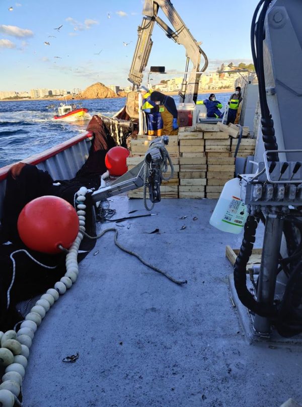 GIA-65/2 - Grúa Inoxidable / Alcance Hidráulico 7,60 m. - Imagen 14