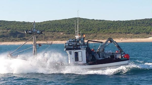 GIA-65/2 - Grúa Inoxidable / Alcance Hidráulico 7,60 m. - Imagen 15