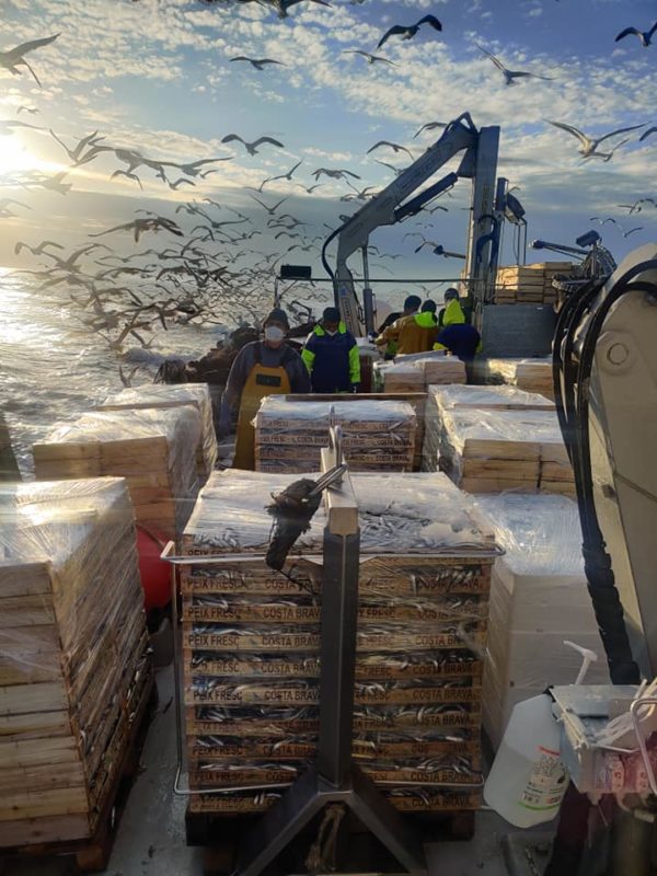 GIA-65/2 - Grúa Inoxidable / Alcance Hidráulico 7,60 m. - Imagen 17