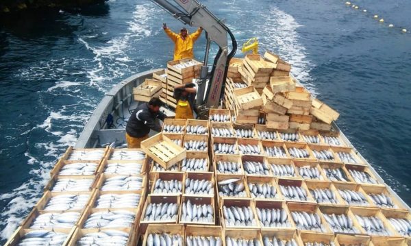 GIA-65/2 - Grúa Inoxidable / Alcance Hidráulico 7,60 m. - Imagen 18