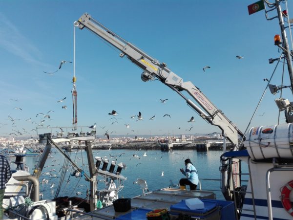 GIA-65/2 - Grúa Inoxidable / Alcance Hidráulico 7,60 m. - Imagen 20