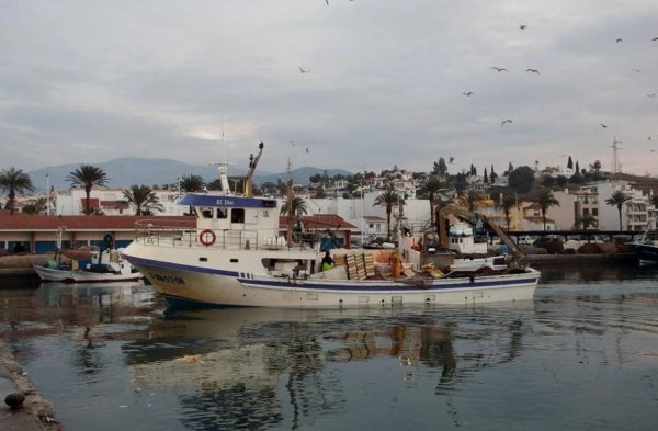 GIA-65/2 - Grúa Inoxidable / Alcance Hidráulico 7,60 m. - Imagen 26