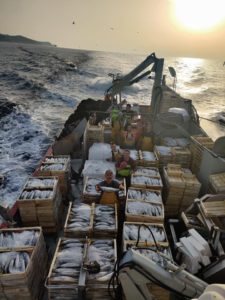 GIA-65/2 - Grúa Inoxidable / Alcance Hidráulico 7,60 m. - Imagen 37