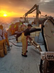 GIA-65/2 - Grúa Inoxidable / Alcance Hidráulico 7,60 m. - Imagen 36