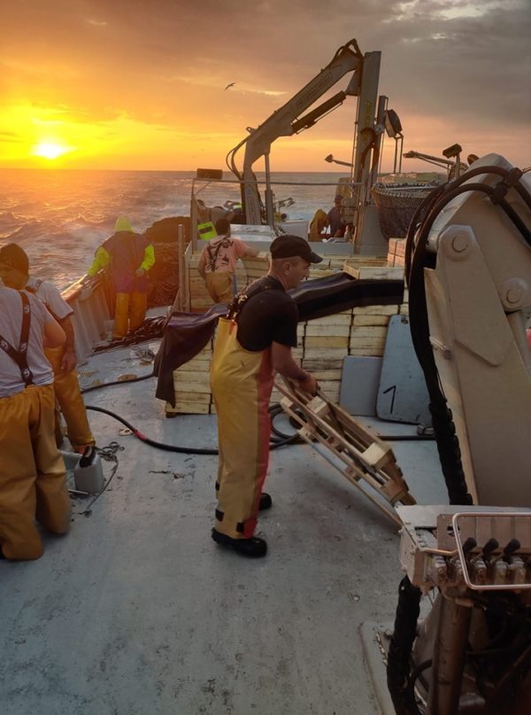 GIA-65/2 - Grúa Inoxidable / Alcance Hidráulico 7,60 m. - Imagen 36