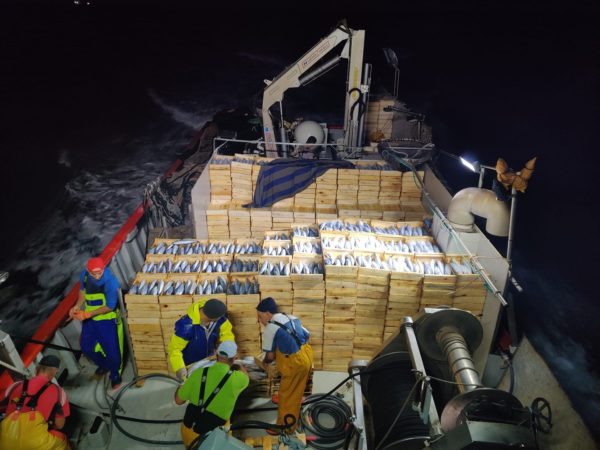 GIA-65/2 - Grúa Inoxidable / Alcance Hidráulico 7,60 m. - Imagen 40