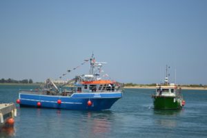 GIA-65/2 - Grúa Inoxidable / Alcance Hidráulico 7,60 m. - Imagen 45