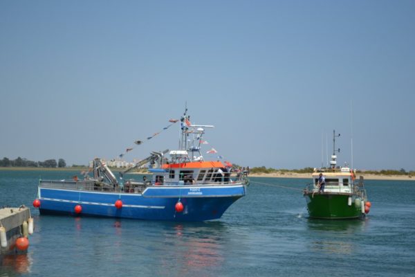 GIA-65/2 - Grúa Inoxidable / Alcance Hidráulico 7,60 m. - Imagen 45