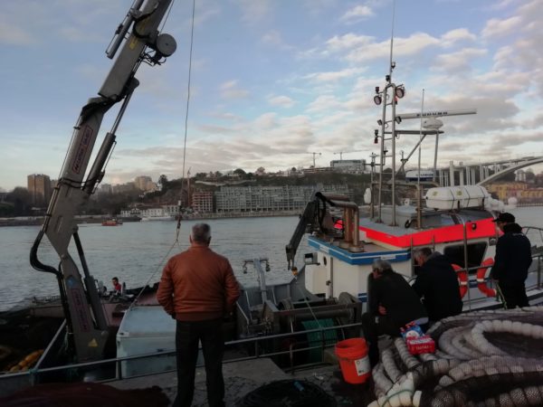 GIA-65/2 - Grúa Inoxidable / Alcance Hidráulico 7,60 m. - Imagen 46