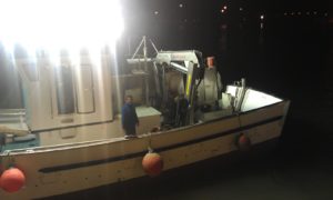 GIA-65/2 - Grúa Inoxidable / Alcance Hidráulico 7,60 m. - Imagen 49