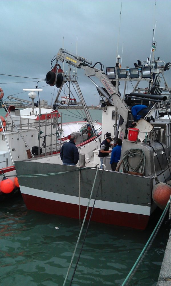 GIA-65/2 - Grúa Inoxidable / Alcance Hidráulico 7,60 m. - Imagen 50