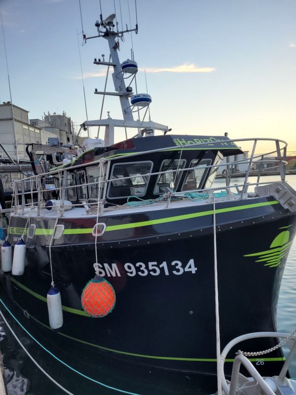 GIA-22/1T Grúa Inox. un tramo / Alcance Hidráulico 5,00 m. - Imagen 6