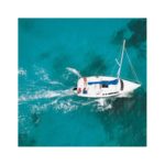 Honda Marine BF 8 - Imagen 5