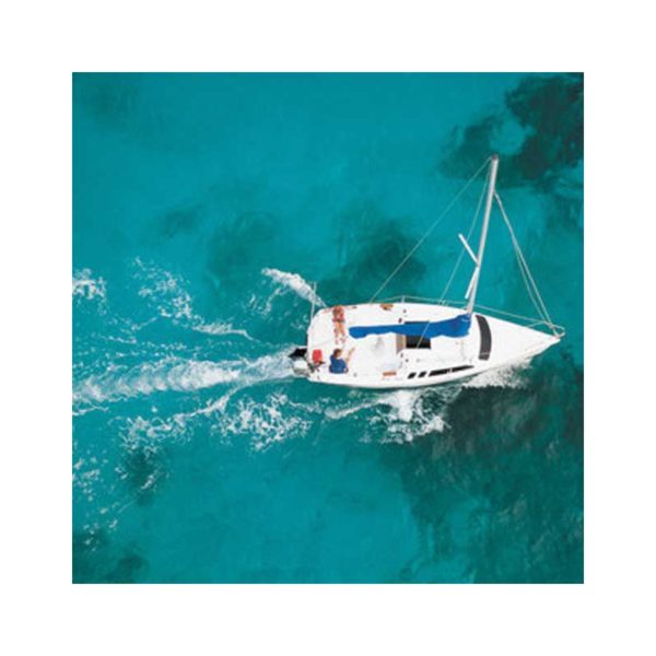 Honda Marine BF 8 - Imagen 5